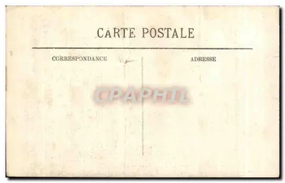 Algero — Giardino sperimentale — L'Allée des Ficus — LL. — n° 250 — Verso