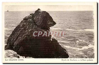The Great Cote — Study of Rocks — The Polar Bear — C.A.P. 44 rue Lotellier, Paris (15)