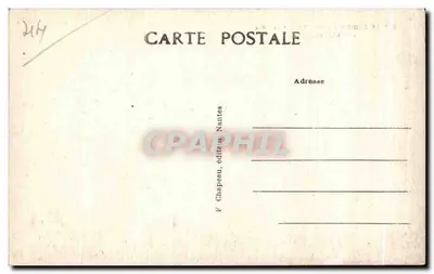 Le Croisic (Loire-Inf.) — Ciekawa bestia na wybrzeżu — Rewers