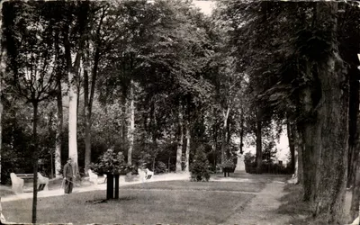 Bilhete postal antigo Breteuil Sur Noye Oise Promenade du Bosquet