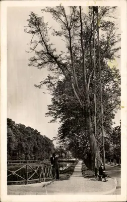 Abbeville (Somme) — Les Boulevards — Éditeur REANT