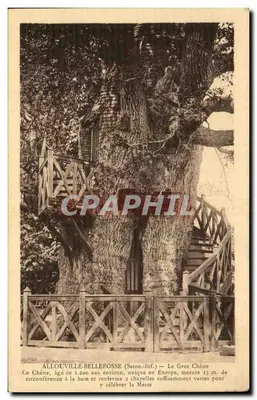 Al louville-Bellefosse (Seine-Inf.) — O Grande Carvalho — Editor Pigalle, Paris