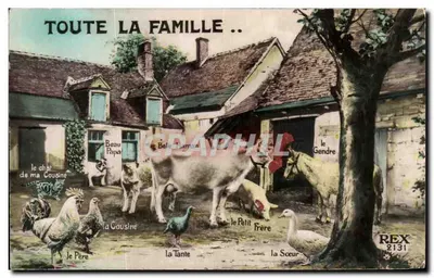 Toda a família .. — animais de estimação — REX 2131
