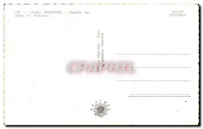 Gazelle dos desertos — Edições HOA-QUI — n° 1157 — Verso