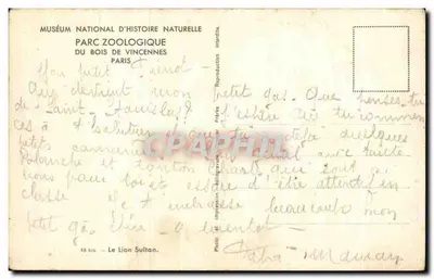 Leão Sultan — Museu Nacional de História Natural, Parque Zoológico do Bois de Vincennes — Foto da coleção 48 bis — Verso