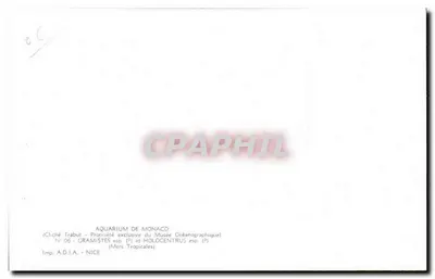 Cramistes e Holocentrus — Mares Tropicais — Imp. A.D.I.A. - NICE — Verso