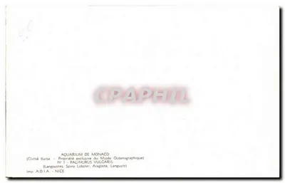 Spiny Lobster — Aquarium de Monaco — Cliché Barba — N°1 — Imp. A.D.I.A. NICE — Back