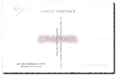 Piquete na floresta — Le Vieux Boucau (Landes) — Edições Van Eyrouleau, Bordeaux — Verso