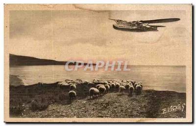 Lago de Biscarrosse — paisagem com ovelhas e hidroavião — E. Vicnès