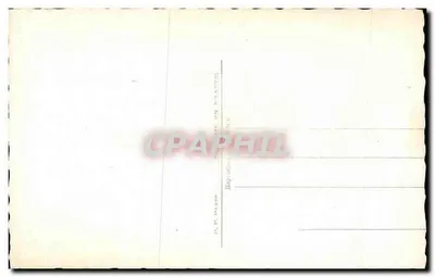 Pansées coloridas — editor P. P. Paste, n° 870 — Verso
