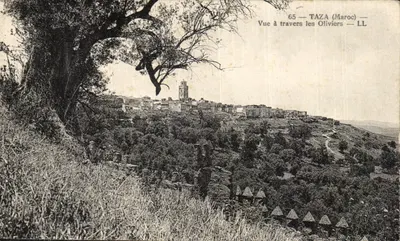 Taza (Marrocos) — Vista através dos Oliveiras — LL, n°65