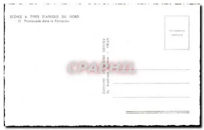 Passeio na Palmeraie — Edições André Sifficky, Oran — Verso