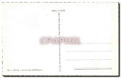 Sfax — A Floresta de Oliveiras — Cie des Arts Photomécaniques (15e) — Verso