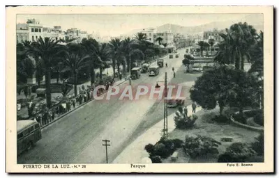 Puerto de la Luz — Parque — Foto E. Baena, N.º 28