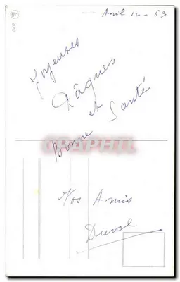 Flores e pintos — Feliz Páscoa — editor não visível — Verso