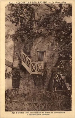 Al louville-Bellefosse — O Grande carvalho — Maison Delannet, editor Yvetot, n° 802