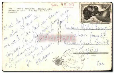 Éléphant mâle — scène forestière — Éditeur C.I.C.I.D. n°1505 — Reverso