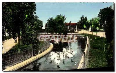 Parque de Rosalía de Castro — Lago com cisnes — Edições A. RIBA S. - ZARAGOZA