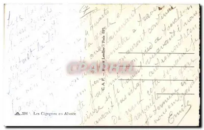 Garças na Alsácia — C.A.P. — 104 — Verso