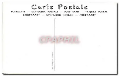 Grand St-Bernard — Os Cães descobrindo um viajante perdido — J. J. n° 8481 — Verso