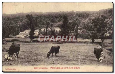 Jouy-en-Josas - Pâturages au bord de la Bièvre — Éditeur Er. Chastal