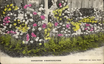 Exposition d'Horticulture — Paris — Nobecourt Rep. Photo, Paris