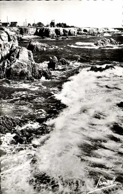 La Grande Côte — Loire-Atlantique — JANSOL (Savars)