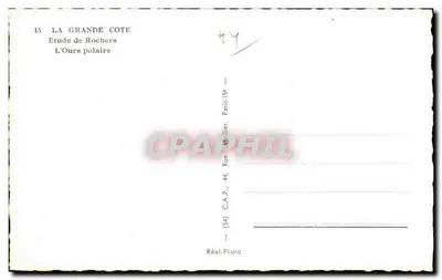 La Grande Côte — Estudo de Rochas, O Urso Polar — C.A.P., Paris — Verso