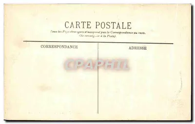Algeri - Giardino Sperimentale - I Yucca — LL, n° 257 — Verso