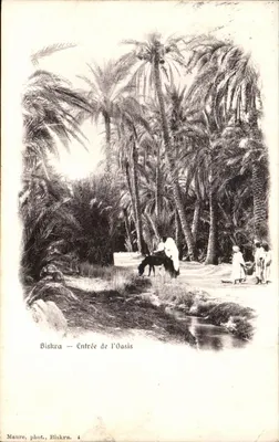 Biskra — Entrada da Oasis — Maure, fot., Biskra. 4