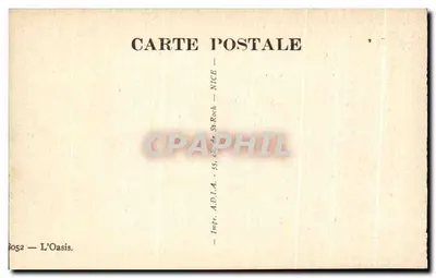 Oasis — Palme — L'Oasis — 8052 — Verso