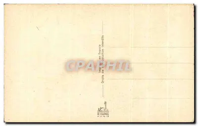 Arranjo de tulipas e myosotis — Dia das Mães — R. Hamel, Paris — Verso