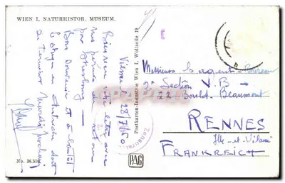 Vienne, Musée avec monument de Thècesia — éditeur Wien I. Naturhistor. Museum, n° 36.516 — Verso