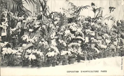 Exposition d'Horticulture Paris — Cliché Nobécourt