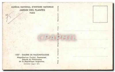Scheletro del Megatherium — Galeria di Paleontologia — Museo nazionale di Storia naturale, Parigi — Verso