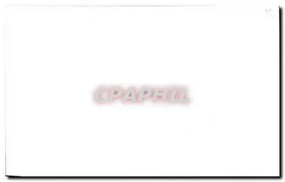 Cyclamen — ilustracja botaniczna — Rewers