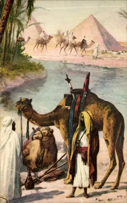 Egyptian scene with pyramids — unknown publisher, series number not visible