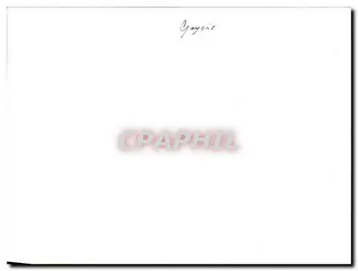 Geyser da Islândia — erupção espetacular — sem editor ou série visíveis — Verso