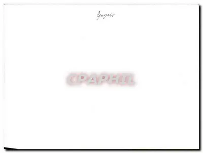 Gejzer — Geygnir — Rewers