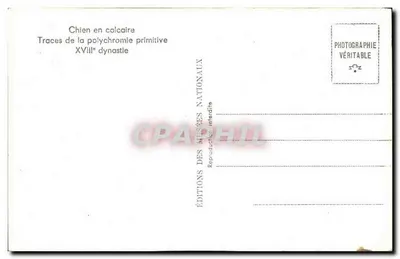 Cachorro em calcário — Traços da policromia primitiva — Éditions des Musées Nationaux — Verso