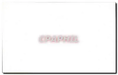 Rysunek młodego łosia — Najlepsze życzenia — R. Colle — Rewers