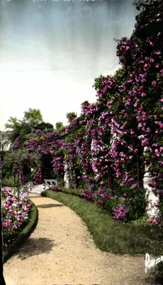 Rosário de l'Hay-les-Roses — As Arcades — Rarmo
