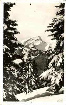 Bilhete postal antigo Abondance o Mont de Grange