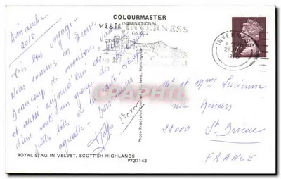 Royal Stag in Velvet — Scottish Highlands — COLOURMASTER INTERNATIONAL PT37143 — Verso