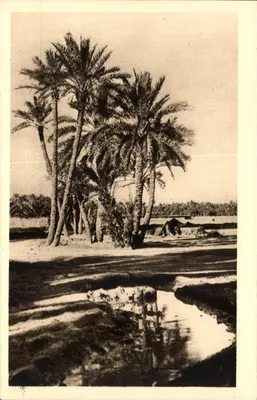 Biskra — Rota para o Forte Turco — SPAGA