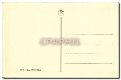 Paisagem de palmeiras e montanhas — El Kantara — SPÉGA — Verso