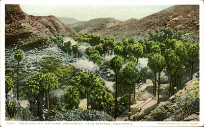 Monumento Nacional Palm Canyon, Palm Springs, Califórnia — Processão das Palmeiras — Detroit Publishing Co. n°72201