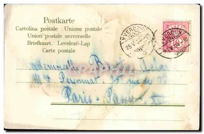 Pigeons and daisies — Illustrated postcard — Publisher unknown — Back