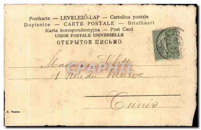 Dois cães de caça — desenho a lápis — editor R. P. n° 65 — Verso