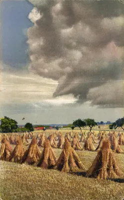 Campos de trigo — Pilhas de feno — Photochromie Série 304 Nr. 4684